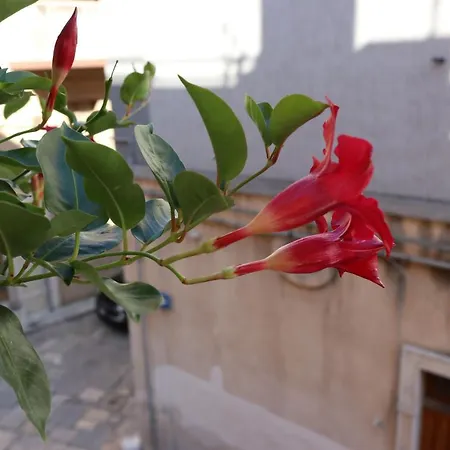 Bed & Breakfast Casa Antica Fasano